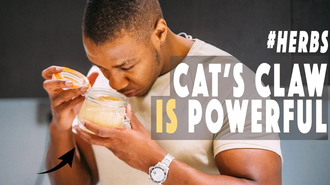 4 benefits of cat's claw