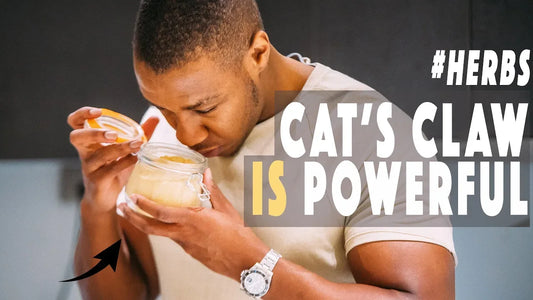 4 benefits of cat's claw