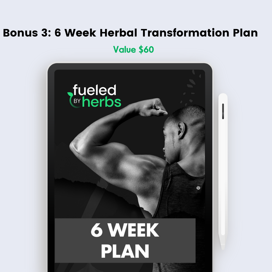 Herbs for muscle growth & strength course