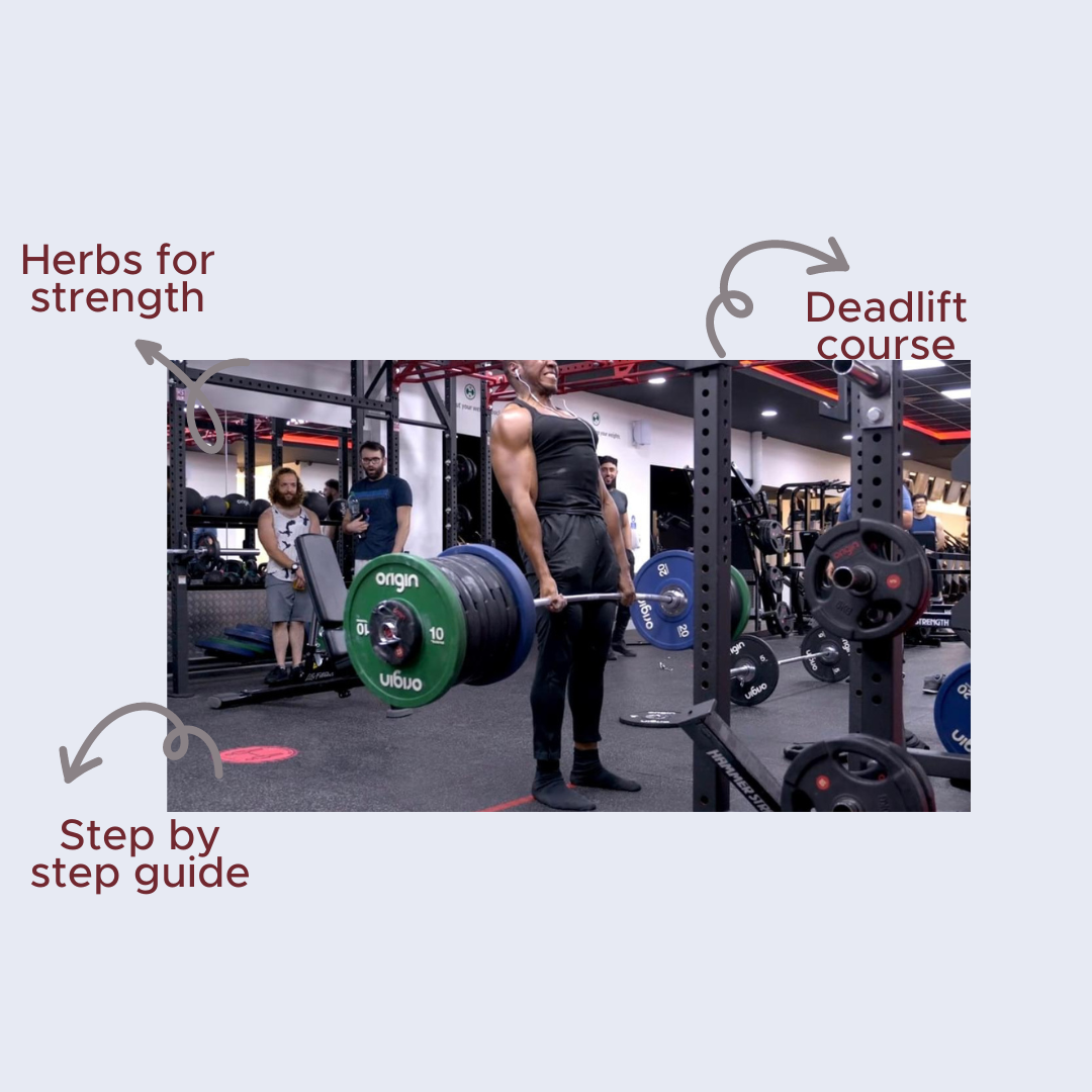 Herbs for muscle growth & strength course