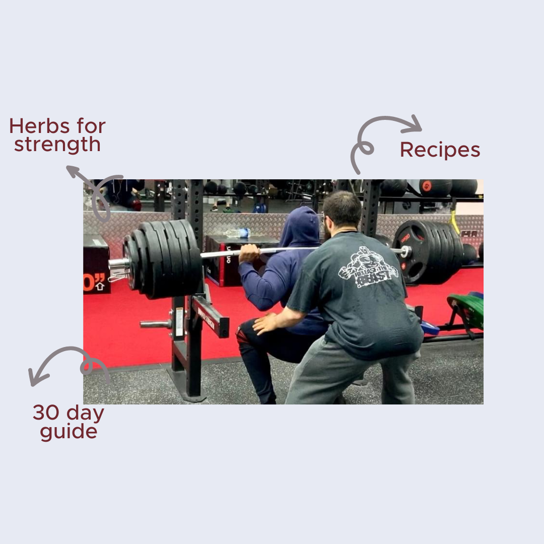 Herbs for muscle growth & strength course